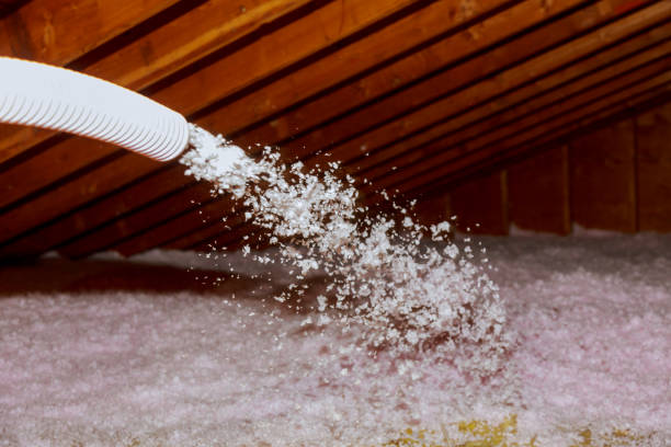 Best Insulation Maintenance and Repair in Fife, WA