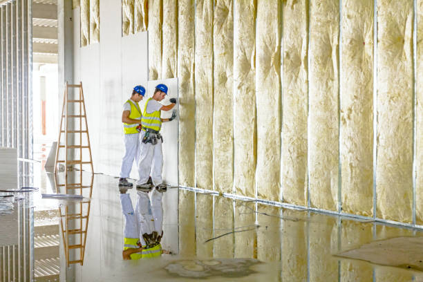 Best Insulation Installation Services in Fife, WA